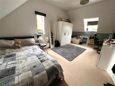 Picture 14